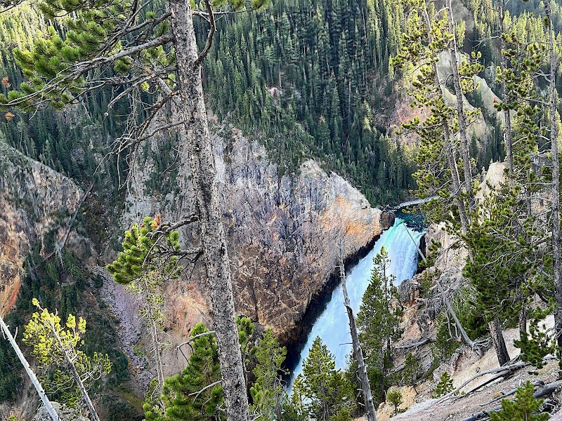 Cascading Beauty: Lower Falls of the Yellowstone - Lower Falls of the Yellowstone