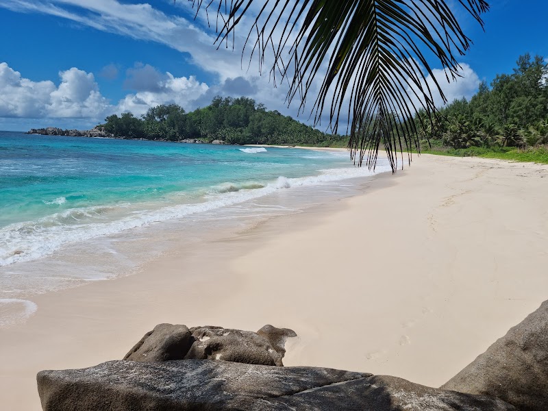 Serene Shores of Police Bay, Seychelles - Police Bay