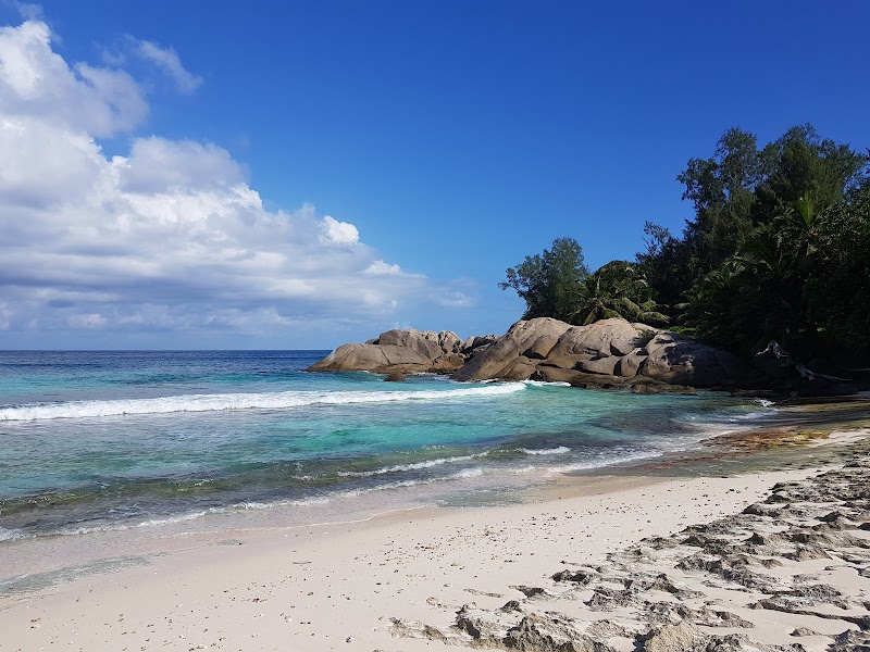 Serene Shores of Police Bay, Seychelles - Police Bay