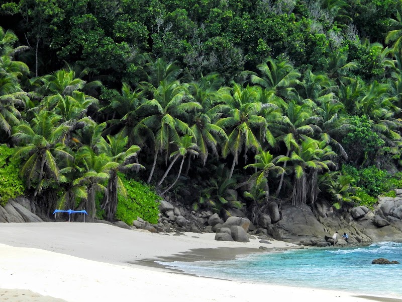 Serene Shores of Police Bay, Seychelles - Police Bay
