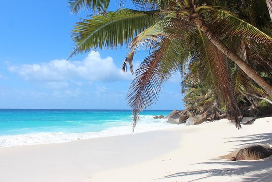 Tropical Bliss at Anse Victorin - Anse Victorin