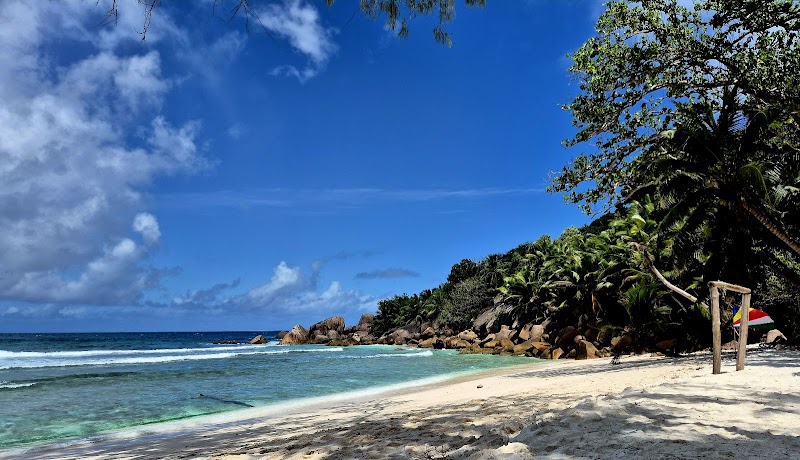 Anse Cocos: A Hidden Gem in La Réunion - Anse Cocos beach