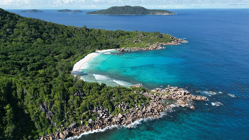Anse Cocos: A Hidden Gem in La Réunion - Anse Cocos beach