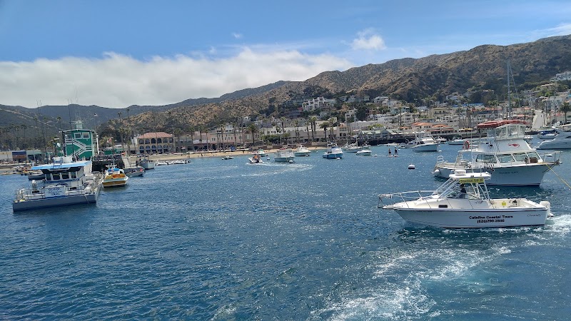 Channel Islands of California: A Marine Wonderland - Channel Islands of California