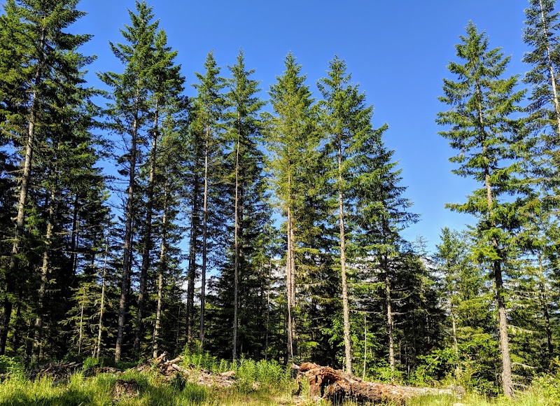 Majestic Mount Hood - A Natural Wonder of Oregon - Mount Hood National Forest