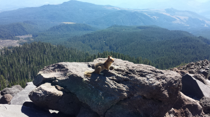 Majestic Mount Hood - A Natural Wonder of Oregon surrounding landscape