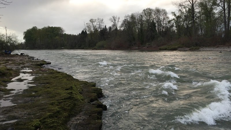 Flowing Wonders of the Willamette River - Willamette River