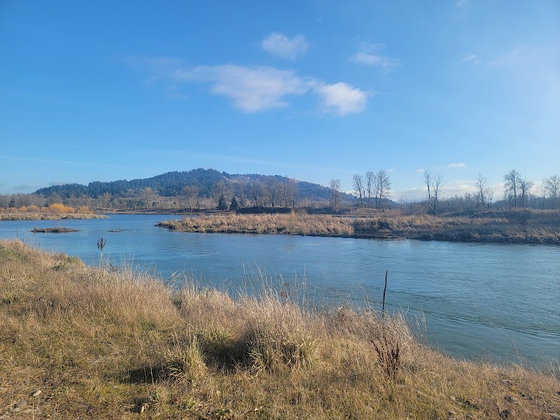 Flowing Wonders of the Willamette River - Willamette River