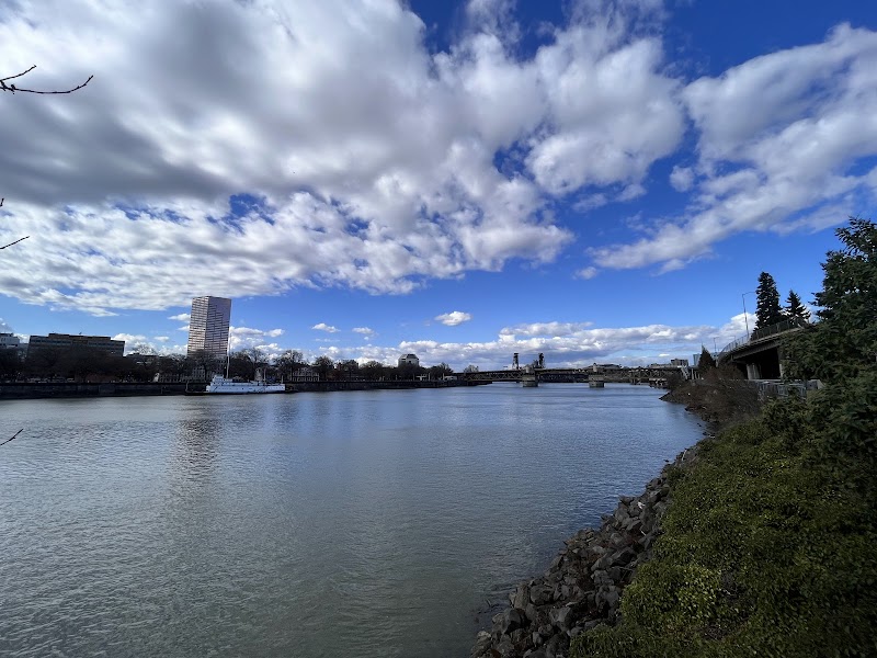 Flowing Wonders of the Willamette River - Willamette River