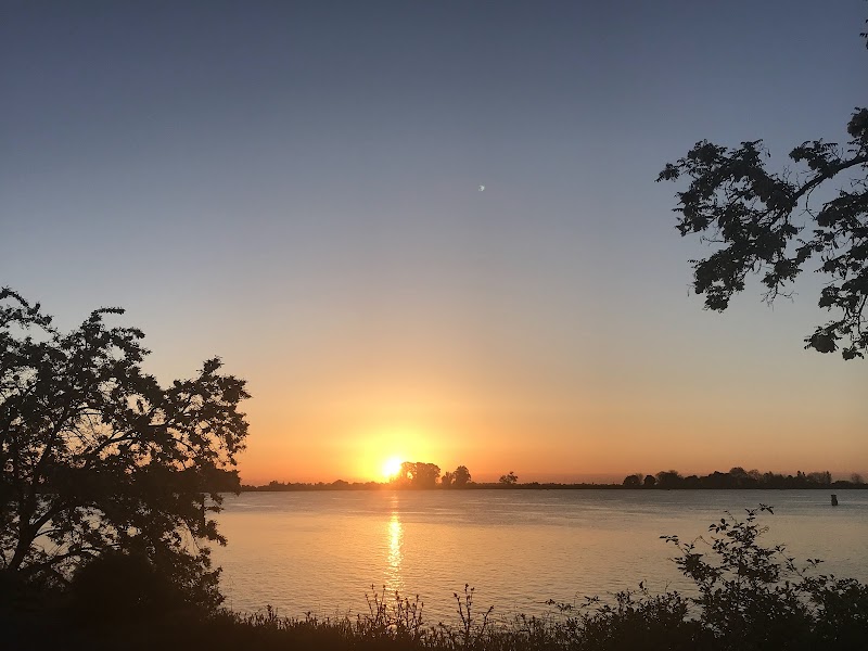 Flowing Serenity: Sacramento River - Sacramento River