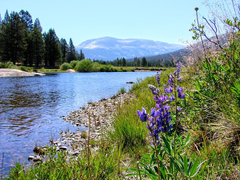 Rushing Waters of Tuolumne River - Tuolumne River