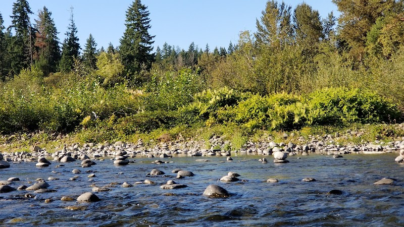 Tranquil Waters of Clackamas River - Clackamas River