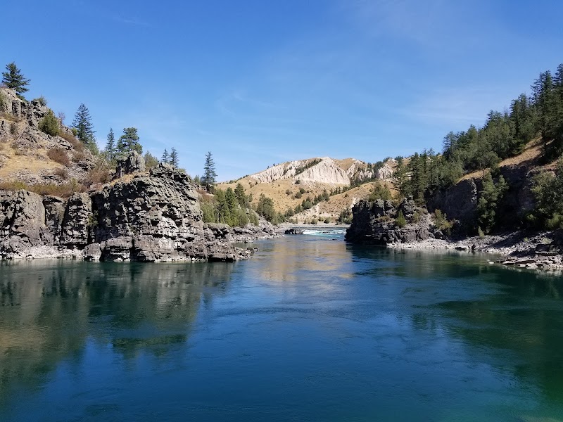 Flathead River: Montana's Aquatic Gem - Flathead River