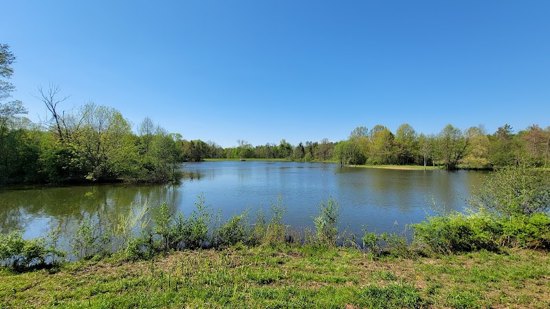 Nature's Refuge: Thoreau Pond in Columbus - Thoreau Pond