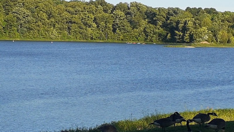 A Serene Escape: Hargus Lake in Washington Township - Hargus Lake