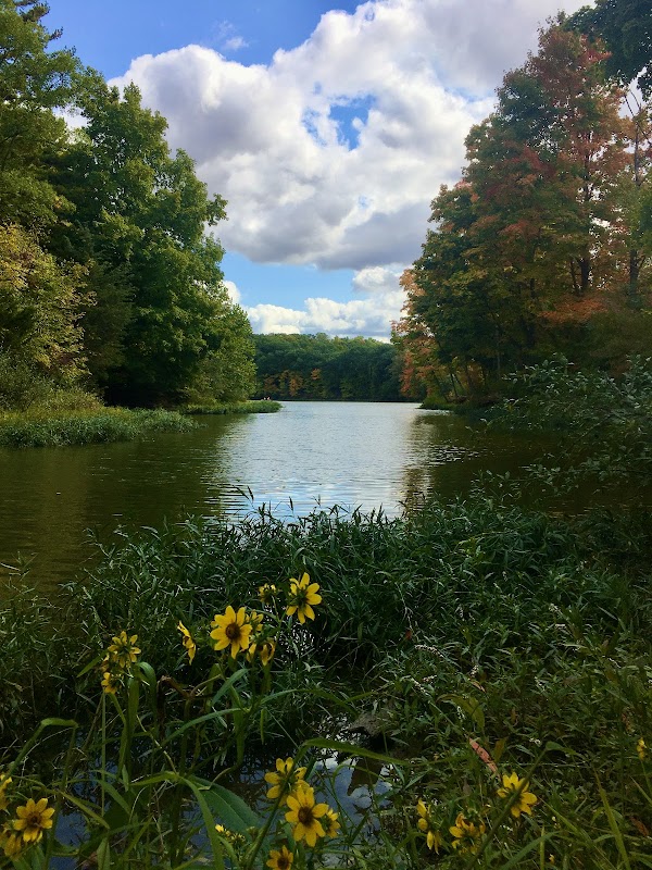 A Serene Escape: Hargus Lake in Washington Township - Hargus Lake