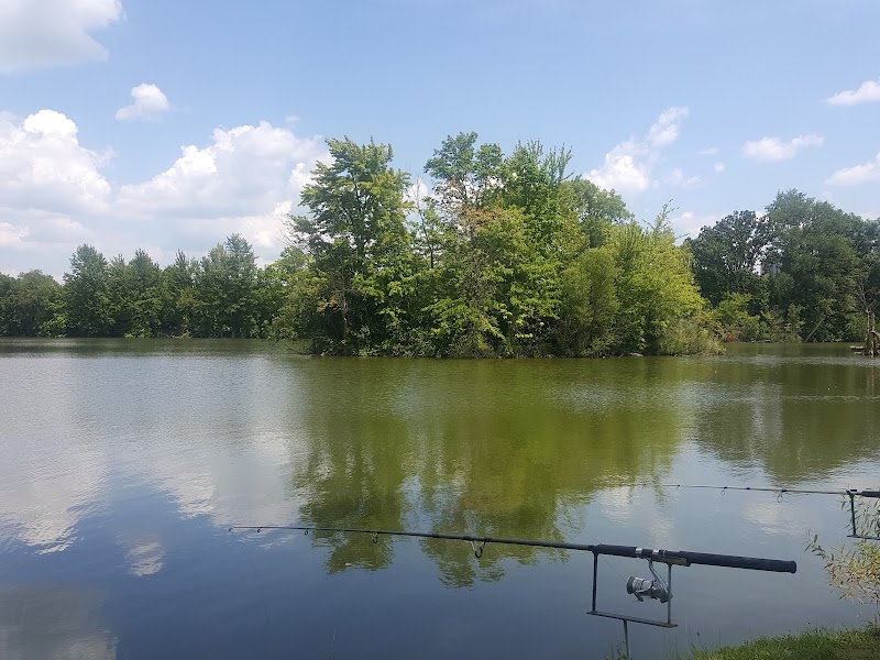 Serene Retreat at Richwood Lake Beach - Richwood Lake Beach