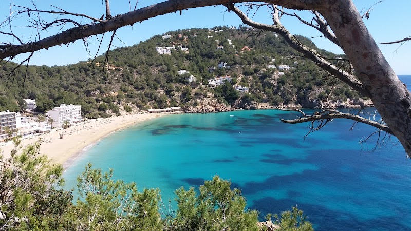Sunny Shores at Cala de Sant Vicent - Cala de Sant Vicent