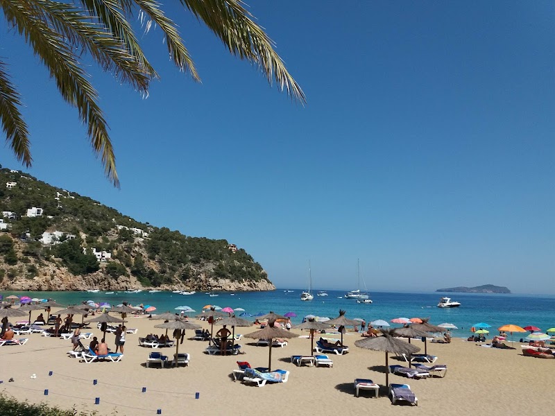 The Sunny Shores of Cala de Sant Vicent - Cala de Sant Vicent