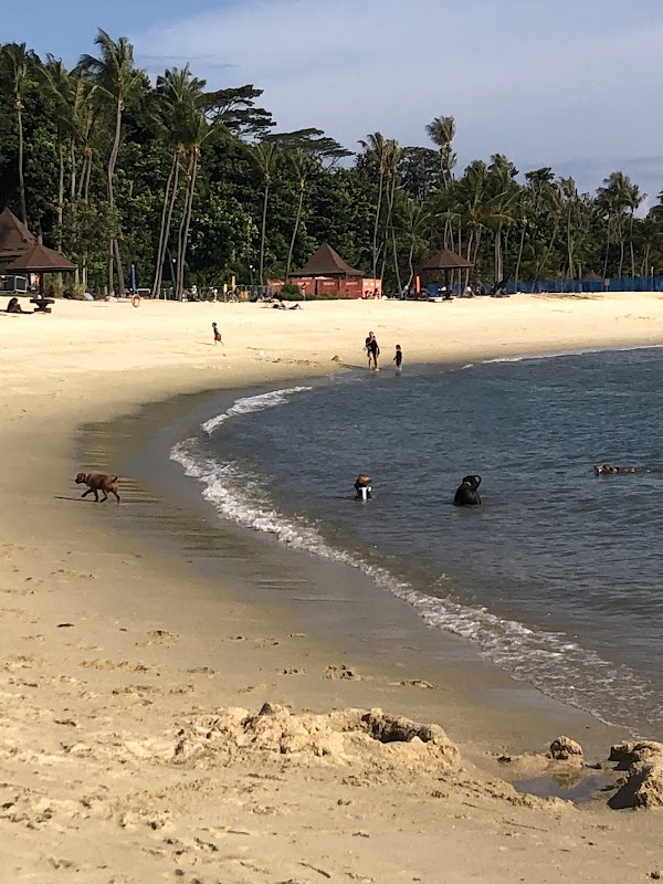 Relaxation & Refreshment at Tanjong Beach Club - Tanjong Beach Club