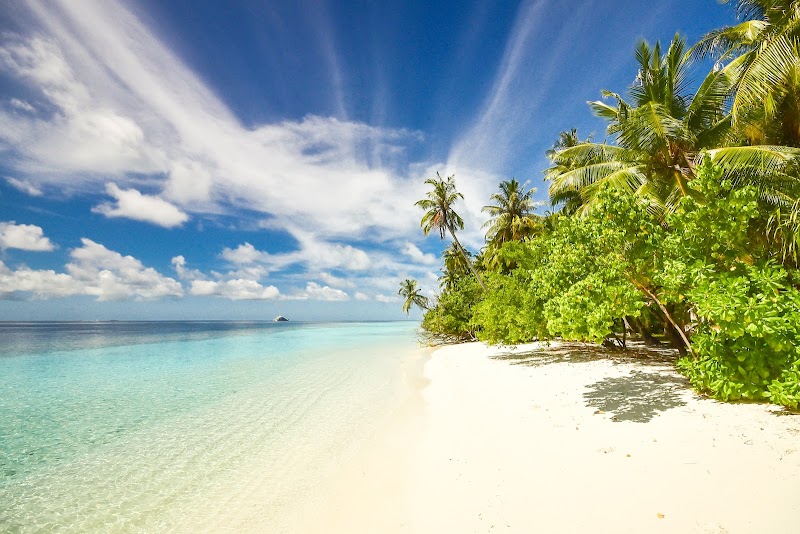 Beach Bliss in Maldives - Beach