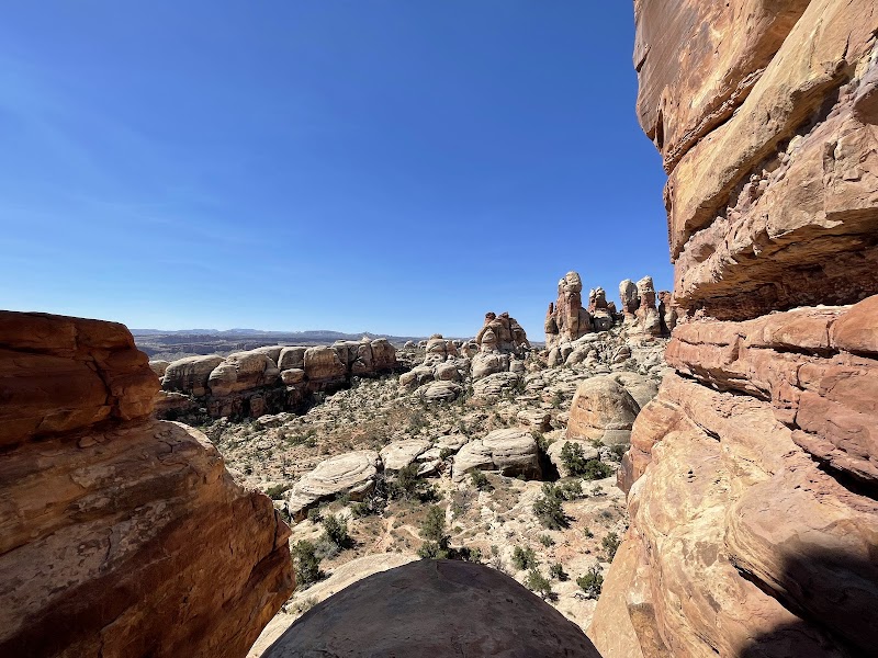 Majestic Mesas and Arches in Canyonlands surrounding landscape