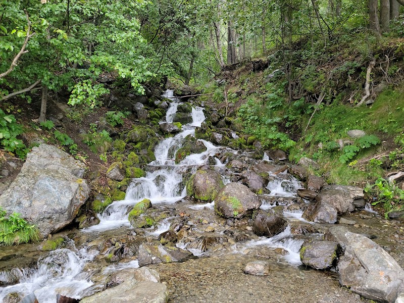 Nature's Beauty in Chugach State Park - Chugach State Park