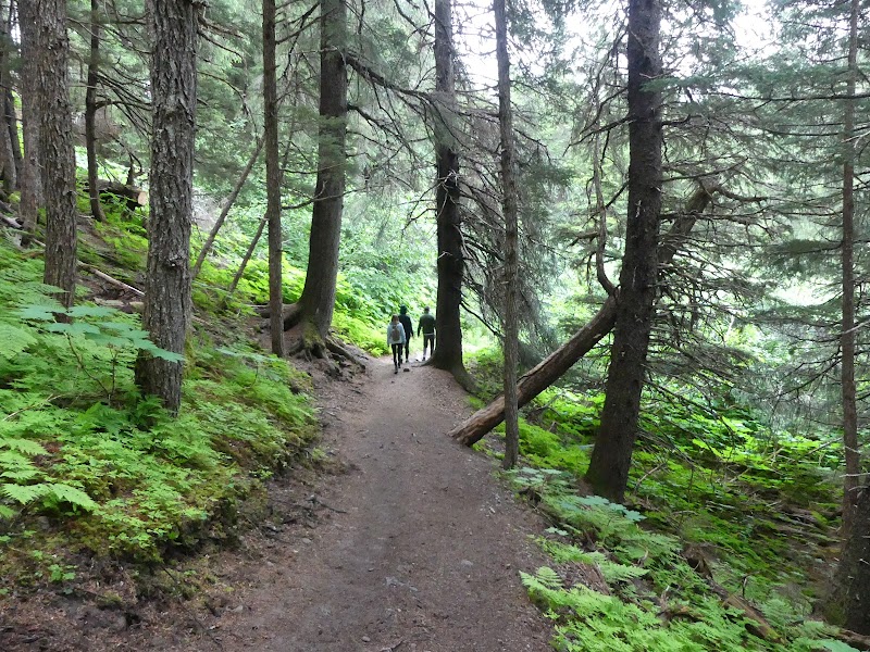 The Cascading Wonder of Winner Creek Gorge - Winner Creek Gorge Trailhead