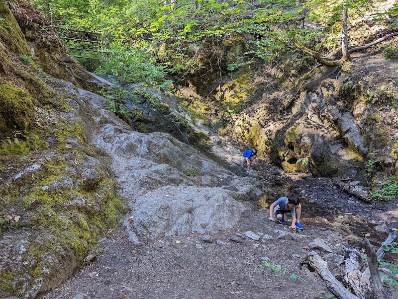 Nature's Forested Wonder: Oredson Todd Woods surrounding landscape