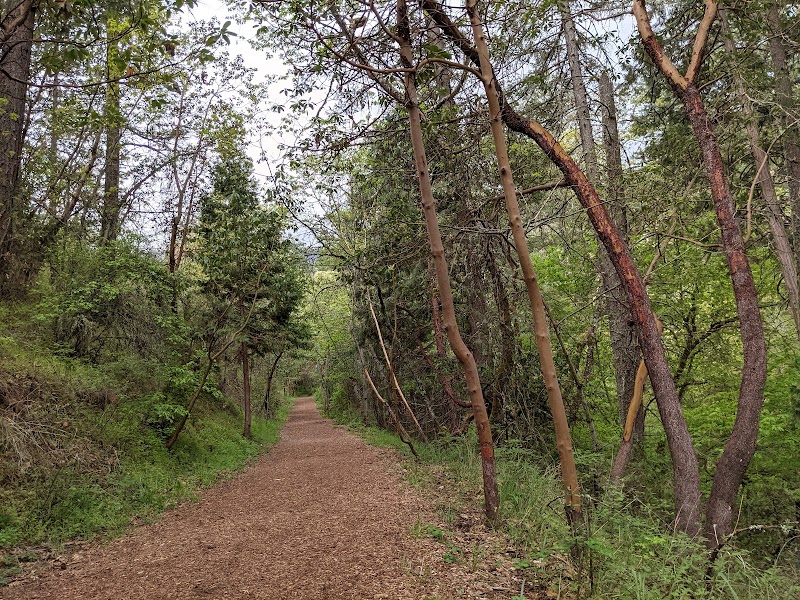 Nature's Forested Wonder: Oredson Todd Woods - Oredson Todd Woods