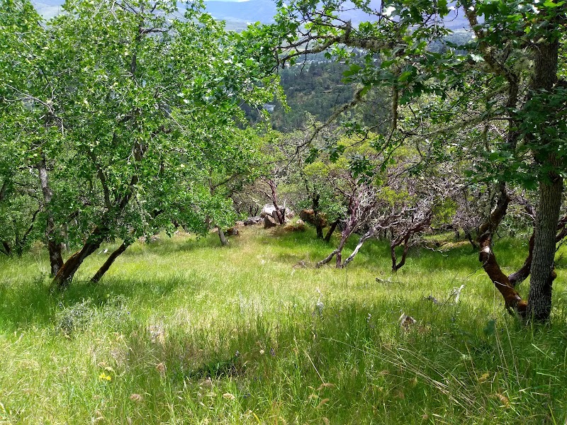 Bouldering Haven: Acid Castle Boulders Trailhead surrounding landscape