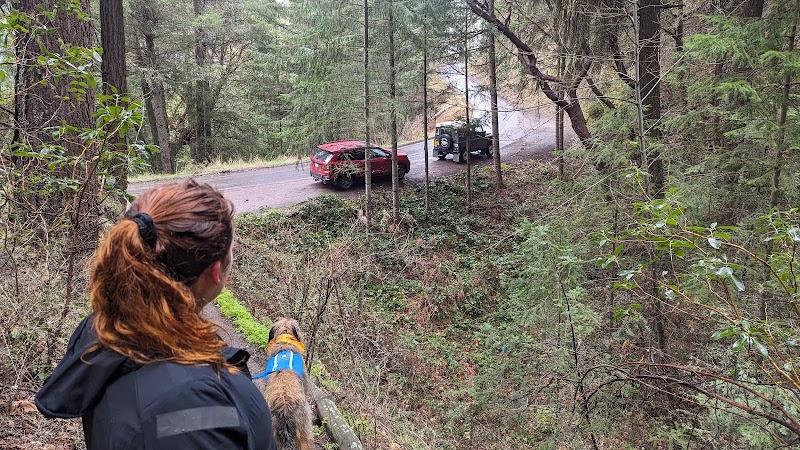 Nature's Welcome at the Start of Toothpick Trail, Ashland - Start of Toothpick Trail
