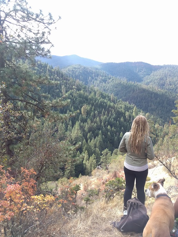 Nature's Welcome at the Start of Toothpick Trail, Ashland - Start of Toothpick Trail