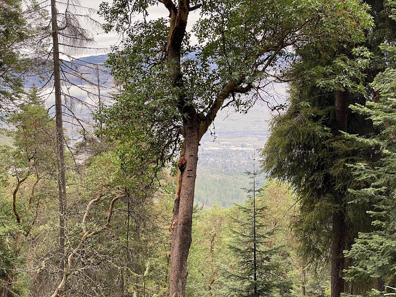 Nature's Welcome at the Start of Toothpick Trail, Ashland surrounding landscape
