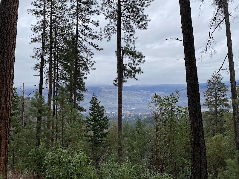Nature's Welcome at the Start of Toothpick Trail, Ashland outdoor detail