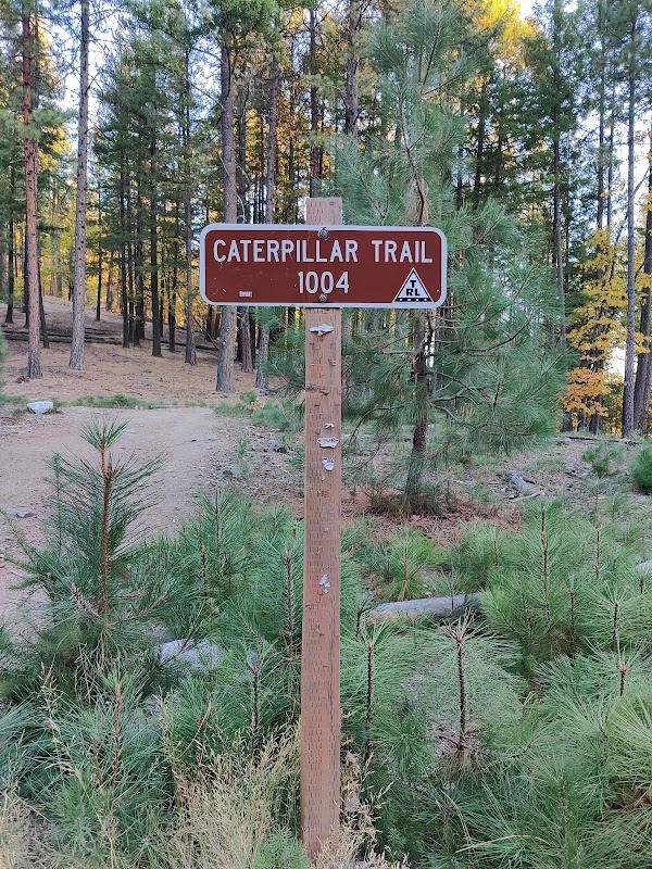 Discover the Natural Charms of Four Corners Trailhead - Four Corners Trailhead