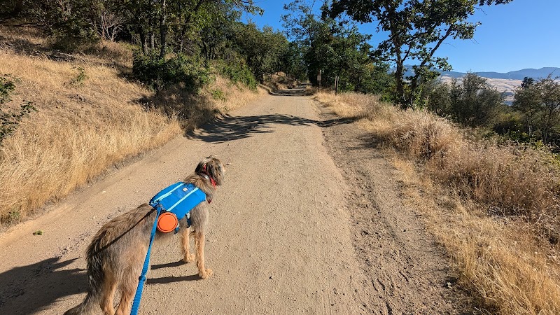 Discover Nature's Tranquility at Oredson Todd Woods Trailhead surrounding landscape