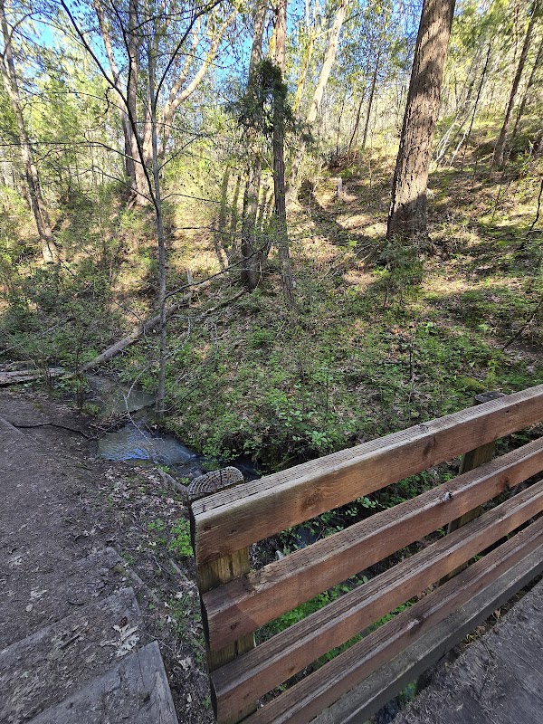 Discover Nature's Tranquility at Oredson Todd Woods Trailhead outdoor detail