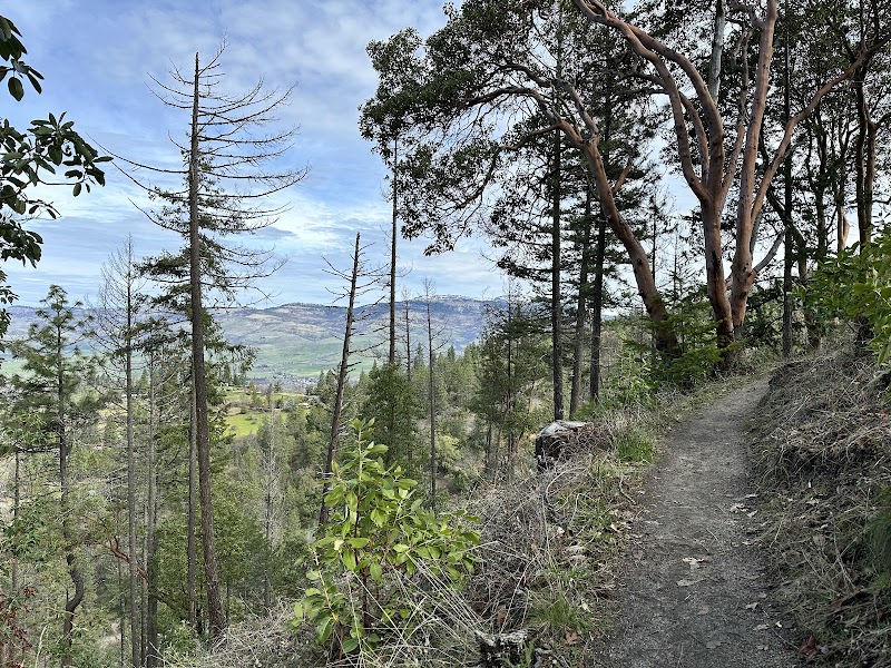 Nature's Escape at Bandersnatch Trailhead surrounding landscape