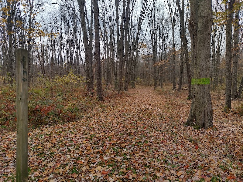 Wandering Through Sandusky Hollow - Sandusky Hollow