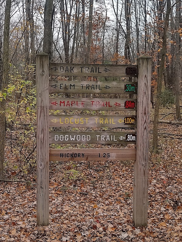 Wandering Through Sandusky Hollow surrounding landscape