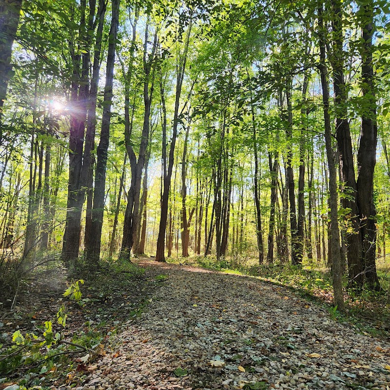 Wandering Through Sandusky Hollow - Sandusky Hollow