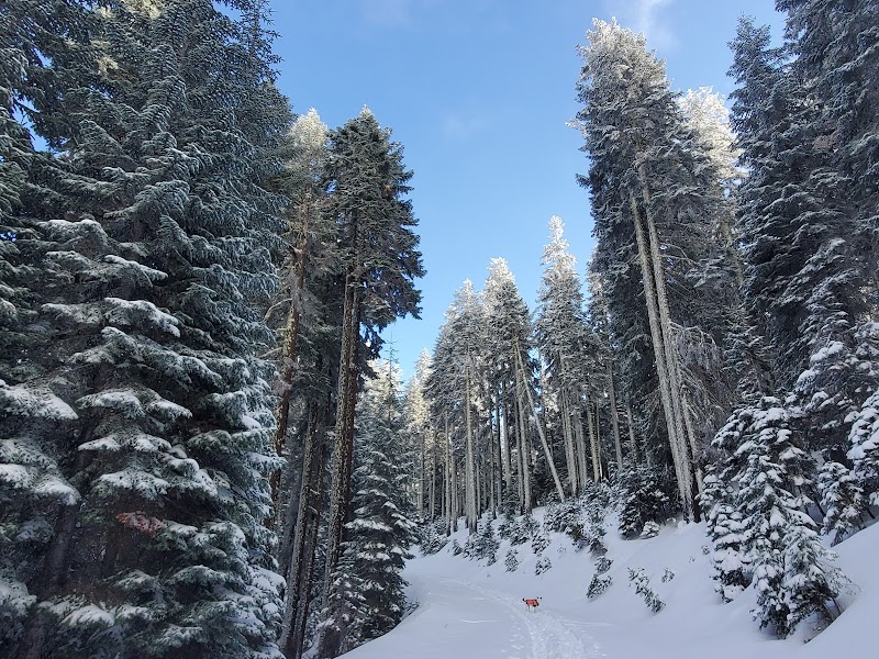 Siskiyou Mountains adventures