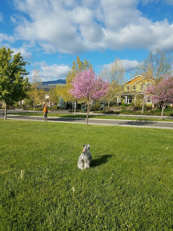 Riverwalk Park in Ashland, Oregon - A Natural Retreat - Riverwalk Park