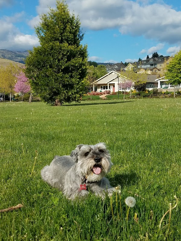 Riverwalk Park in Ashland, Oregon - A Natural Retreat surrounding landscape