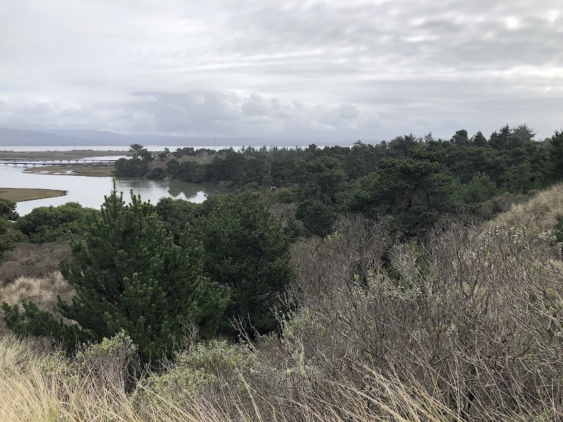 Sand & Sea: Dunes Trail in Arcata - Dunes Trail