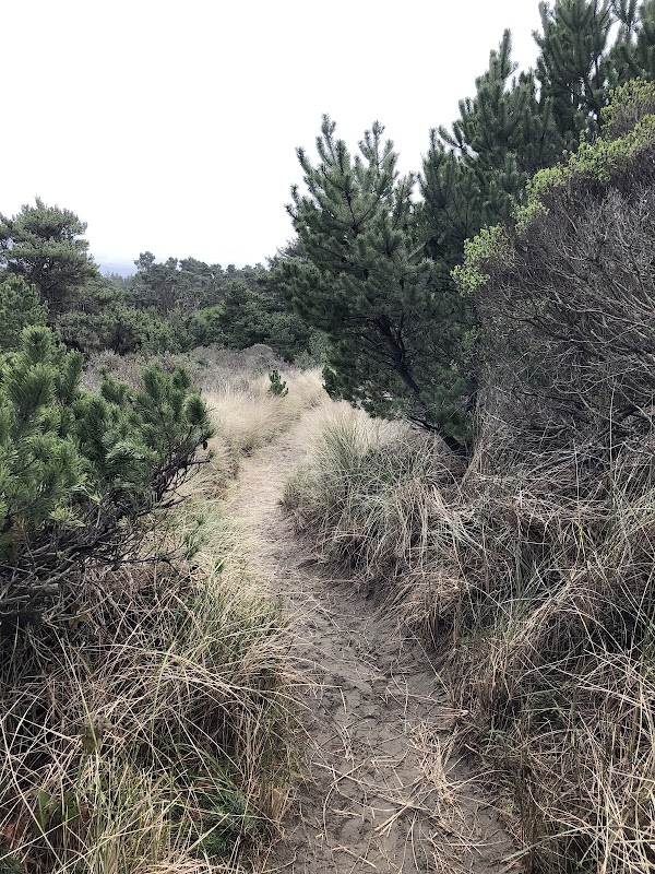 Sand & Sea: Dunes Trail in Arcata - Dunes Trail