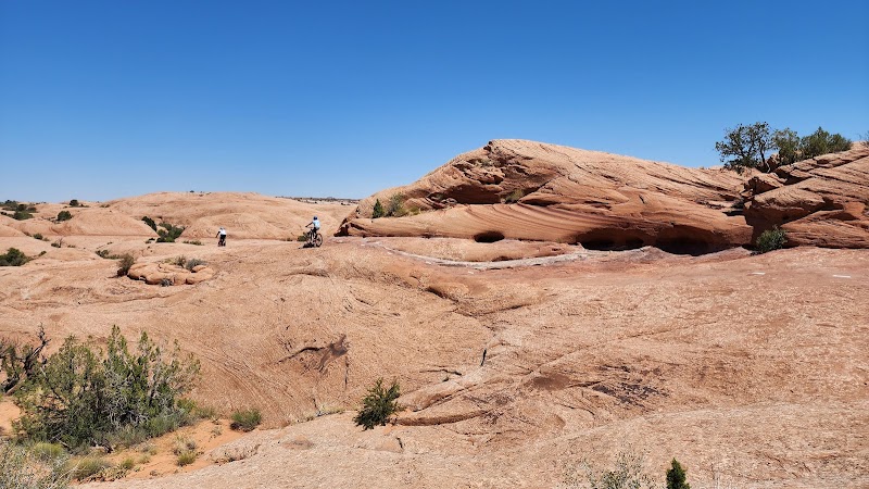 Biking on Slickrock Wonders: Moab's Unique Trail - Slickrock Bike Trail