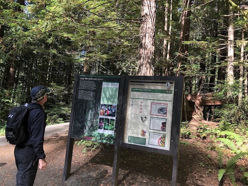 Tall Trees and Tranquility: Lady Bird Johnson Grove Trail outdoor detail