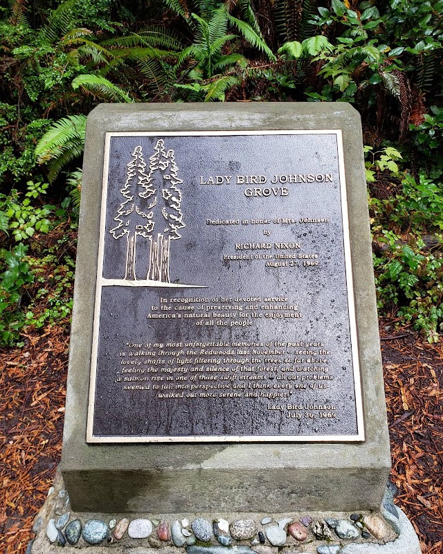 Tall Trees and Tranquility: Lady Bird Johnson Grove Trail - Lady Bird Johnson Grove Trail